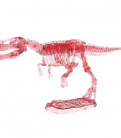 Excavation kit Dino Glow  3