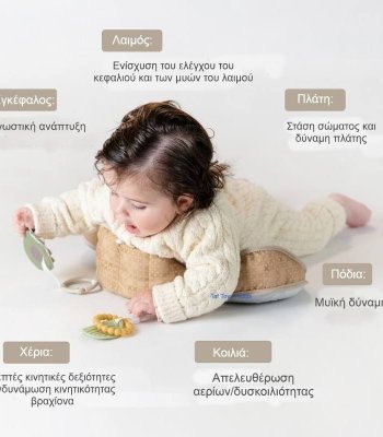 Taf Toys Βρεφικό Μαξιλάρι Για 0+ Μηνών Bear Tummy Time Pillow 2